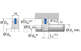Pneuko G PKG 20 - 300 | 72 NBR 708 | 20 X 6 X 6 MM | Piston complet series PNEUKO Freudenberg Sealing Technologies